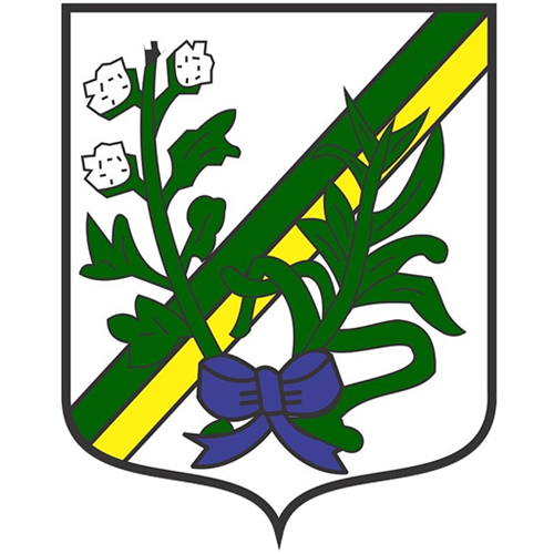 Câmara Municipal de São Paulo do Potengi - RN